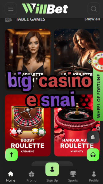 Big Casino E Snai - Italian Casino Giant-casinoorder.vip